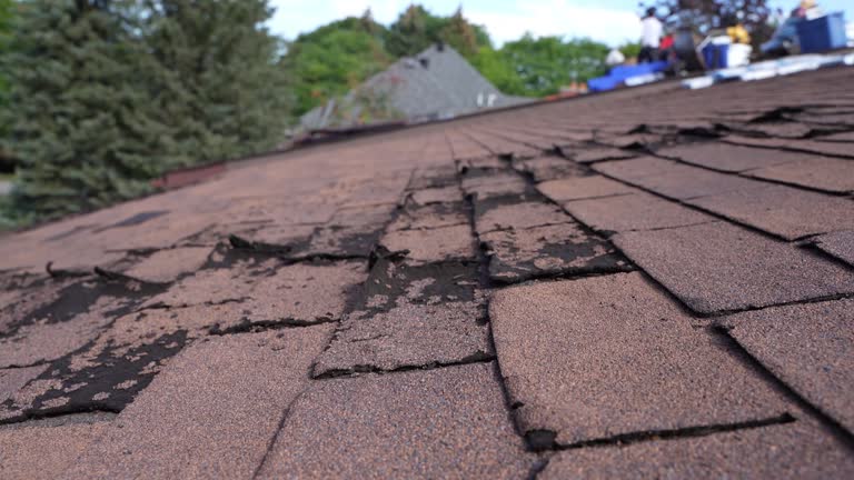 Best Gutter Replacement  in Murfreesboro, TN
