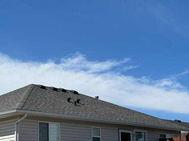 Best Steel Roofing  in Murfreesboro, TN